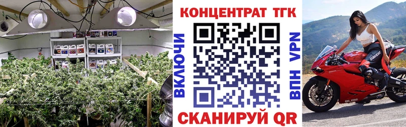 магазин продажи   Гусь-Хрустальный  Дистиллят ТГК Wax 