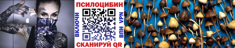 цена   Гусь-Хрустальный  Псилоцибиновые грибы MAGIC MUSHROOMS 