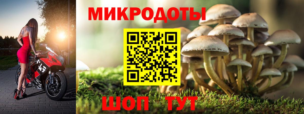 Псилоцибиновые грибы Magic Shrooms Гусь-Хрустальный
